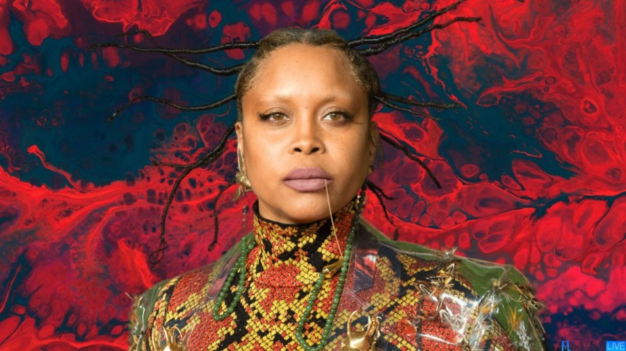 Erykah Badu Net Worth in 2023 How Rich is She Now?