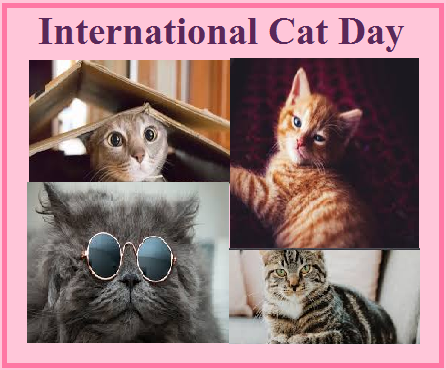 International Cat Day