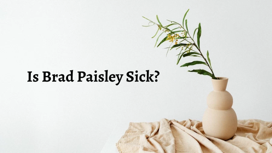 Is Brad Paisley Sick? Does Brad Paisley Have A Brain Tumor? What Disease Does Brad Paisley Have?