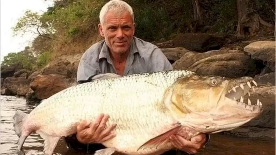 Is Jeremy Wade Married? Jeremy Wade Biography, Age, Wife, Family, Net Worth, And More