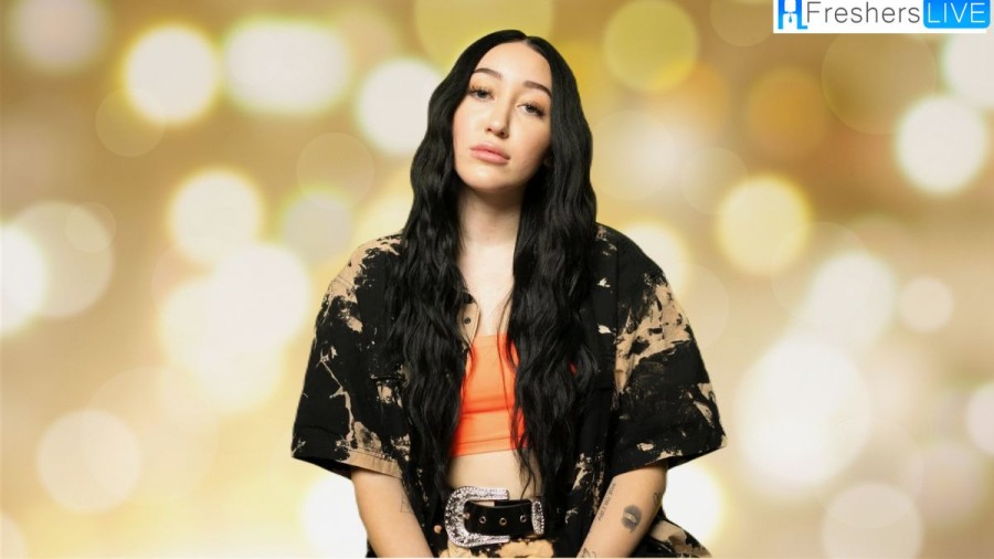 Is Noah Cyrus Pregnant 2023? Know Everything About Her