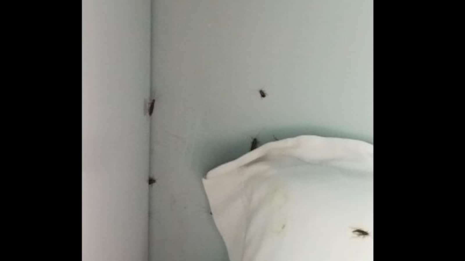 'Nightmare': Indian Railway passenger shares pic of cockroaches in coach