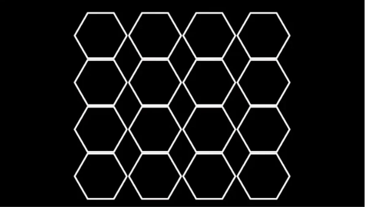 How Many Hexagons Do You See In The Picture?