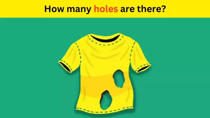 Only true geniuses can find how many holes are in the T-shirt within 9 seconds