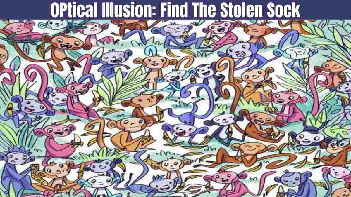 Optical Illusion: Find the Sock in 7 seconds