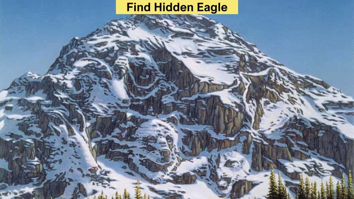 Find the Second Eagle in 5 Seconds