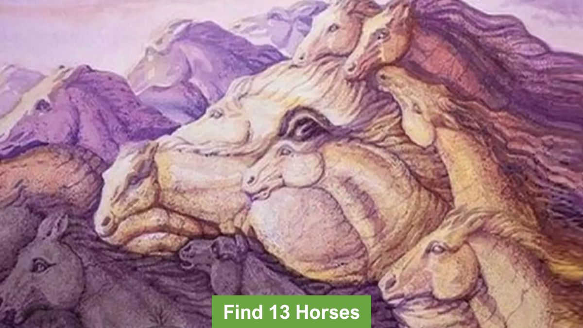 Optical Illusion Visual Skill Challenge: Find 13 Horses in 13  Seconds