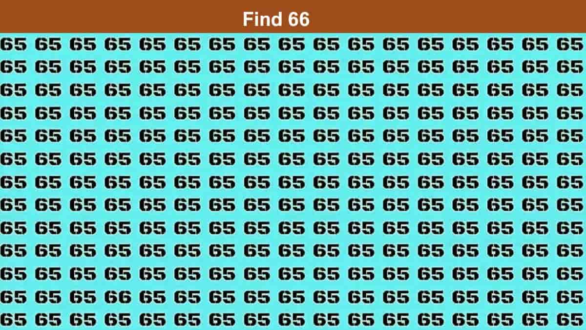 Spot 66 among 65s in 3 seconds