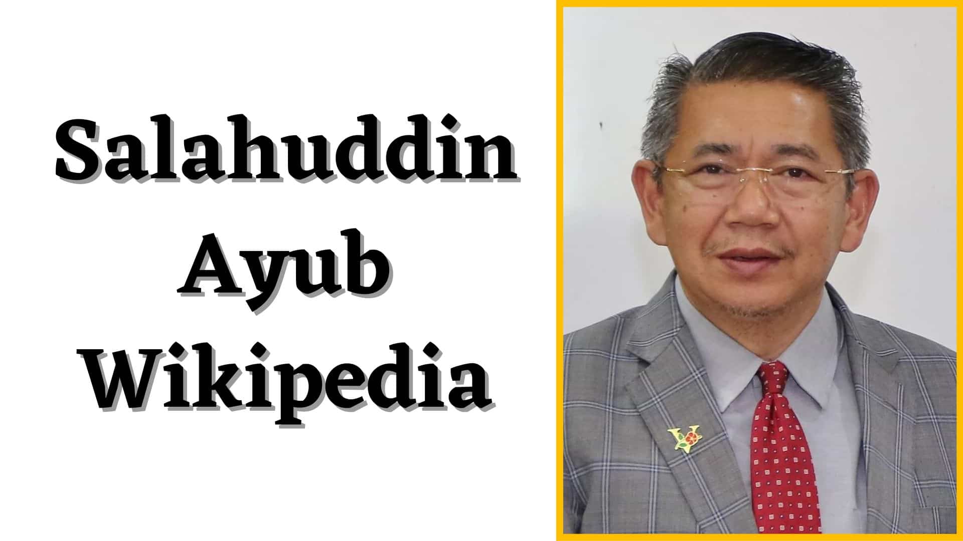 Salahuddin Ayub Wiki, Wikipedia, Parlimen, Family, History, Education, Twitter