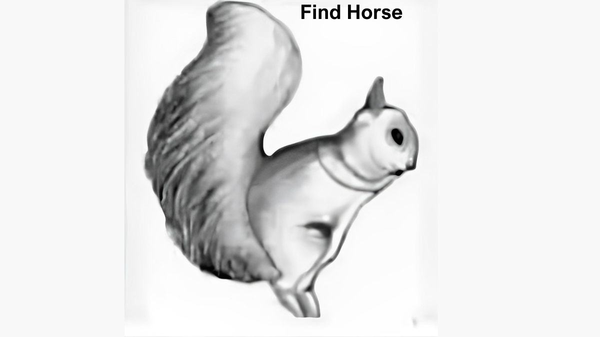 Seek and Find Puzzle: Find the Hidden Horse in 5 Seconds