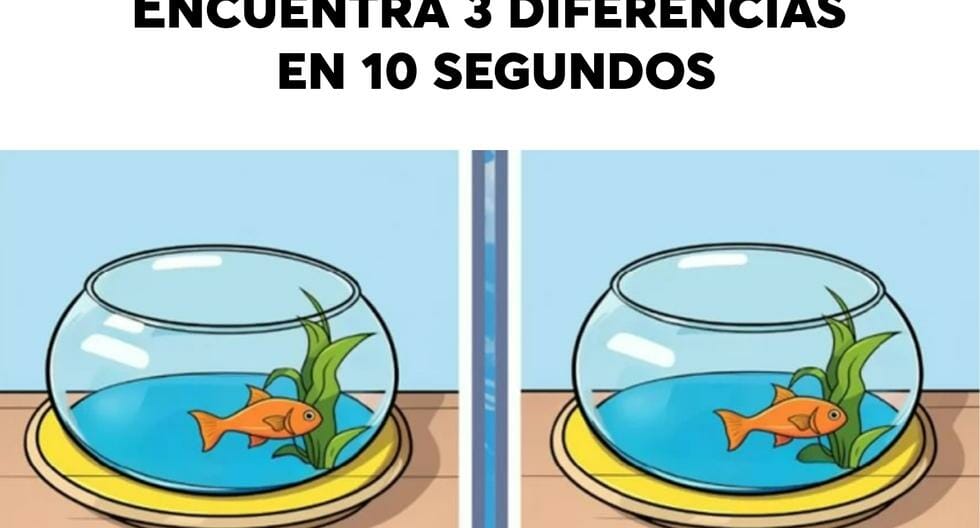 Show off your visual acuity by spotting 3 differences between aquariums in 10 seconds