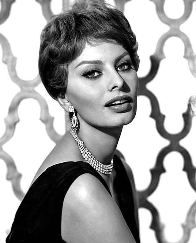 sophia loren