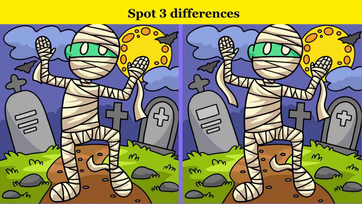 Spot 3 differences in 9 seconds