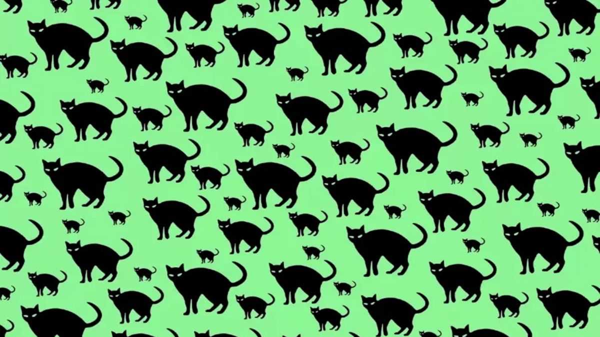 Find the rat among cats within 8 seconds!