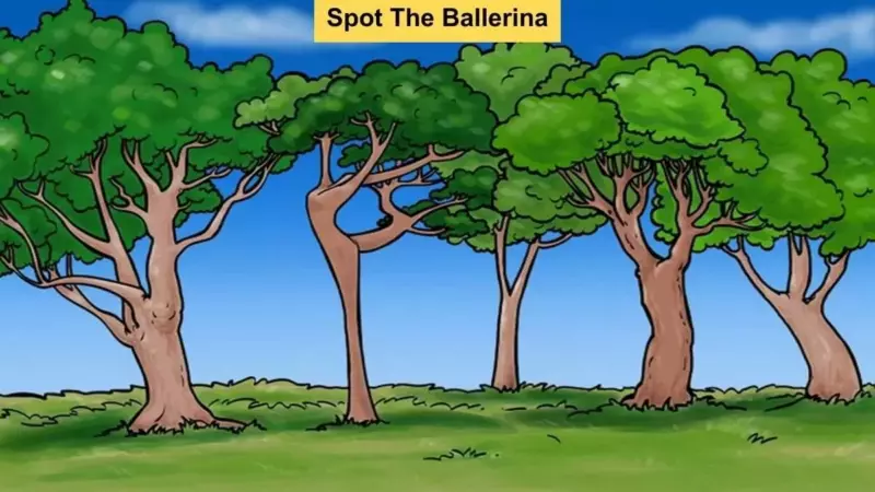 The ballerina is there, somewhere among the trees. Can you find her? Your challenge is to find the ballerina in 7 seconds?