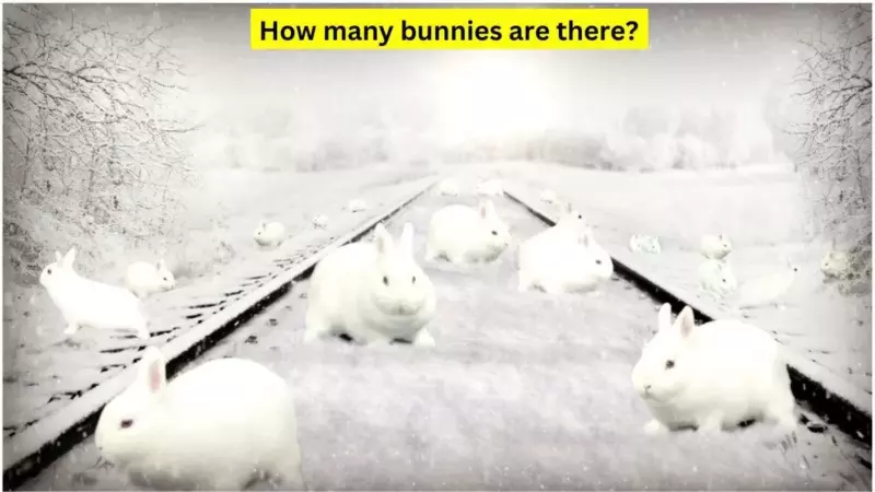 The video went viral and attracted over 10,000 comments. Viewers took their guess but failed. Can you count the number of white bunnies in this snowy train track picture?