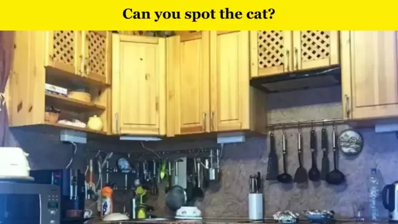 There is a cute cat hiding in the kitchen in this optical illusion picture puzzle. Can you spot it in 6 seconds?