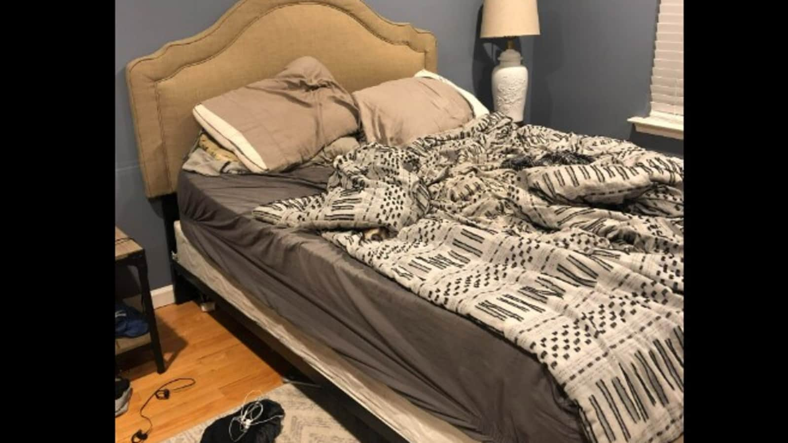 Think you have sharp eyes? Find the dog hiding in plain sight