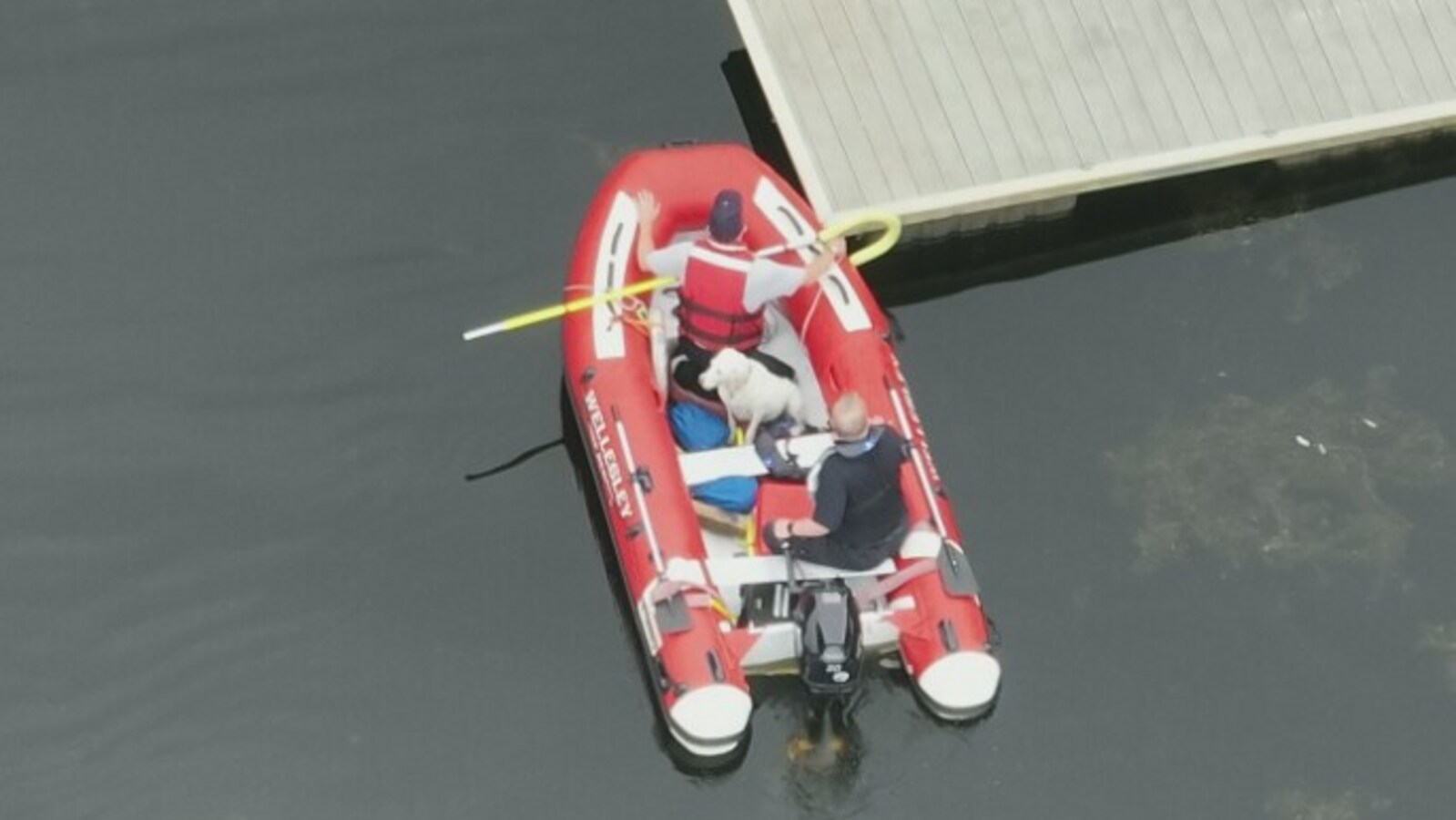 US firefighters rescue dog from the middle of a lake