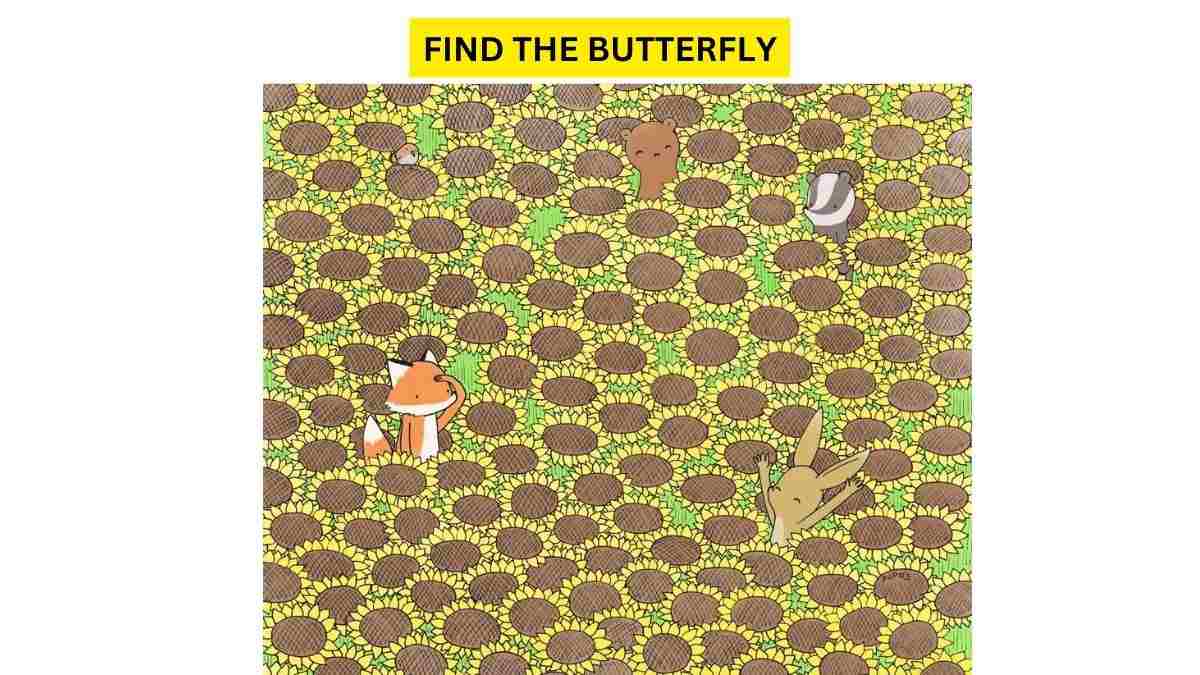 Dare You To Find The Butterfly In The Picture!