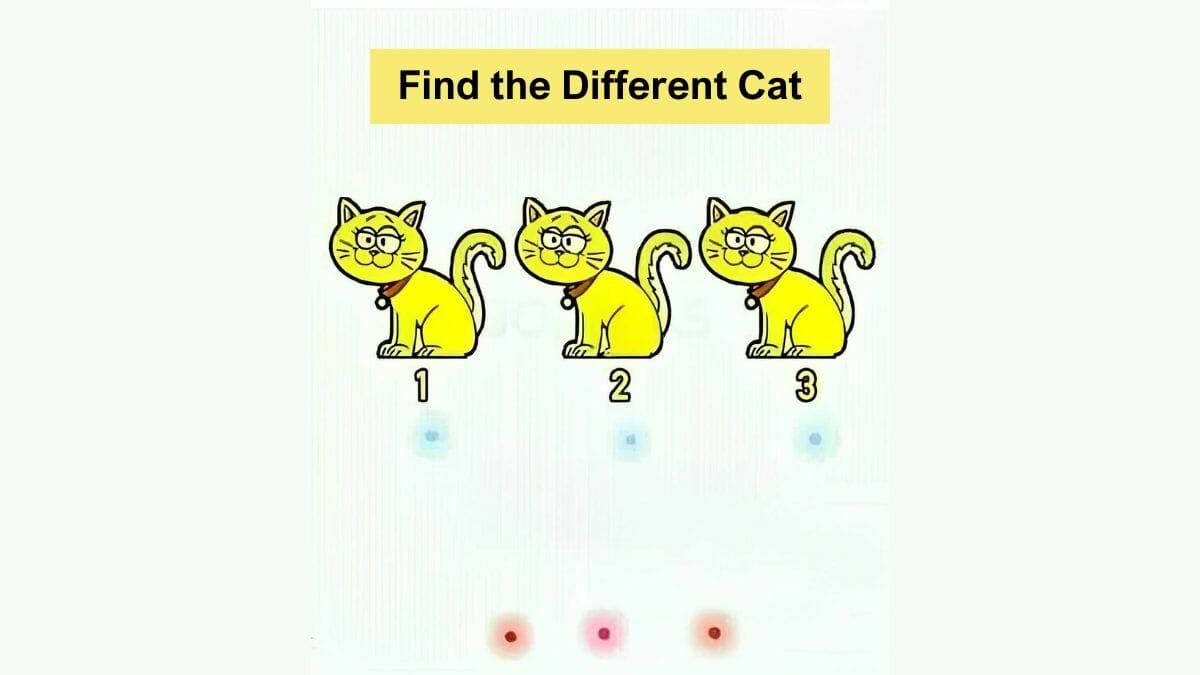 Find the Different Cat in 5 Seconds