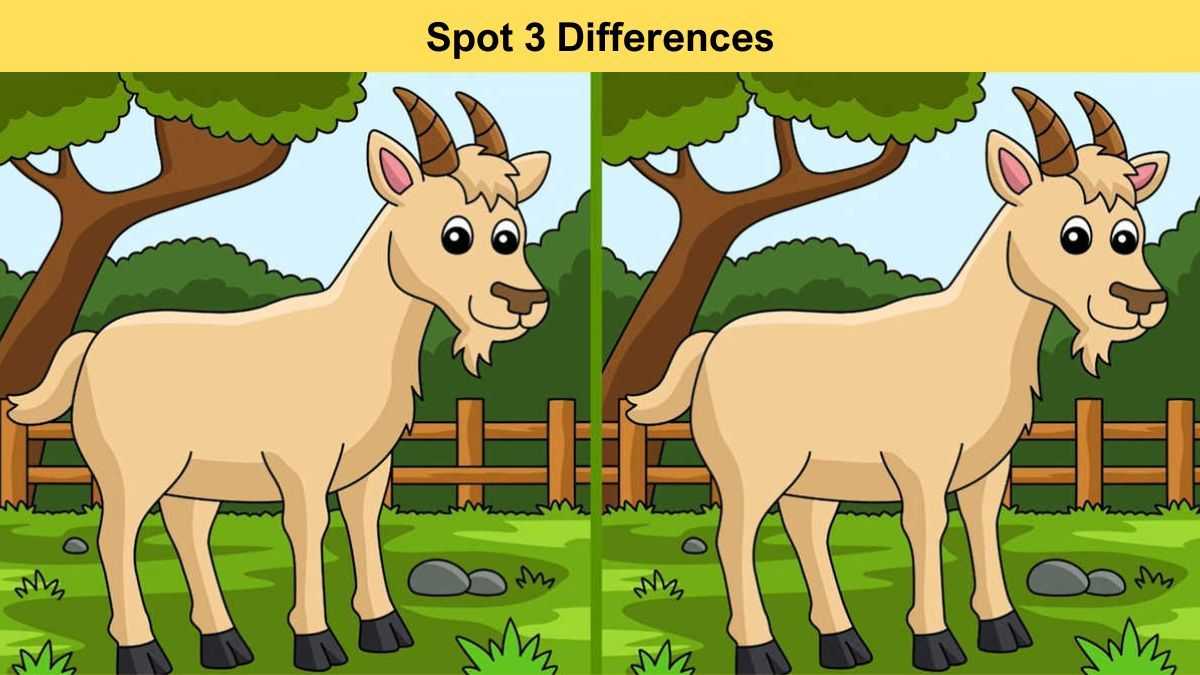 Spot 3 Differences in 13 Seconds