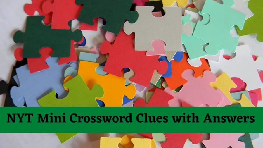 Bundle with bags full of building blocks Crossword Clue NYT