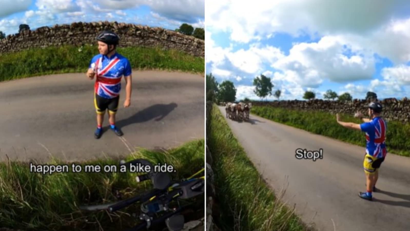 Cyclist spots a herd of cows running towards him. Here's what he did next