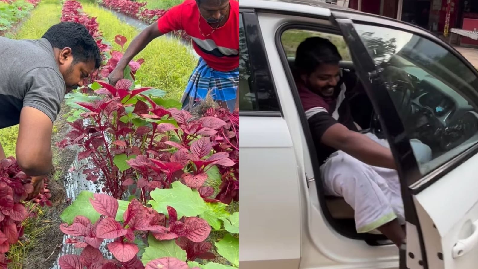 Kerala farmer drives Audi to a local market, sells fresh spinach