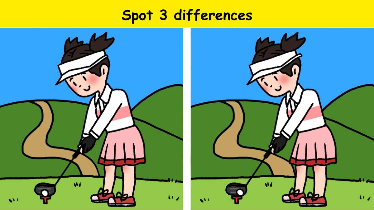 Spot 3 differences