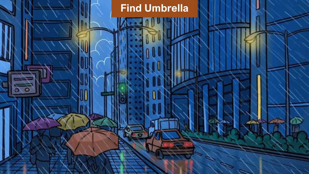 Find the Hidden Umbrella in 8 Seconds