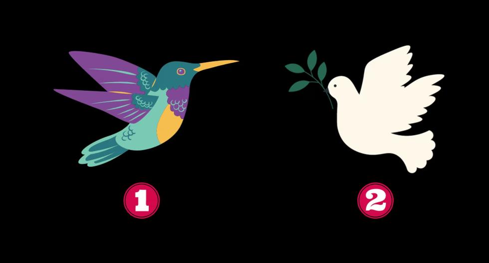 Personality test: find out what they think about you by choosing one of the birds