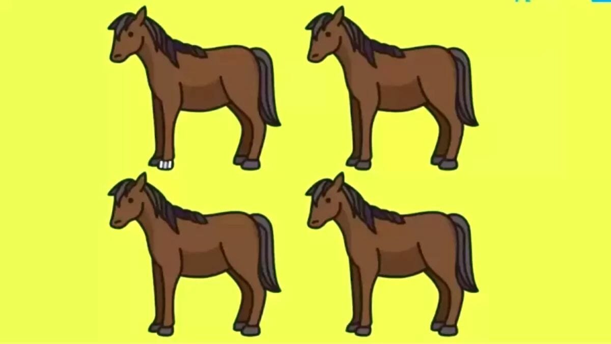 Can you spot which horse is different in 15 seconds?