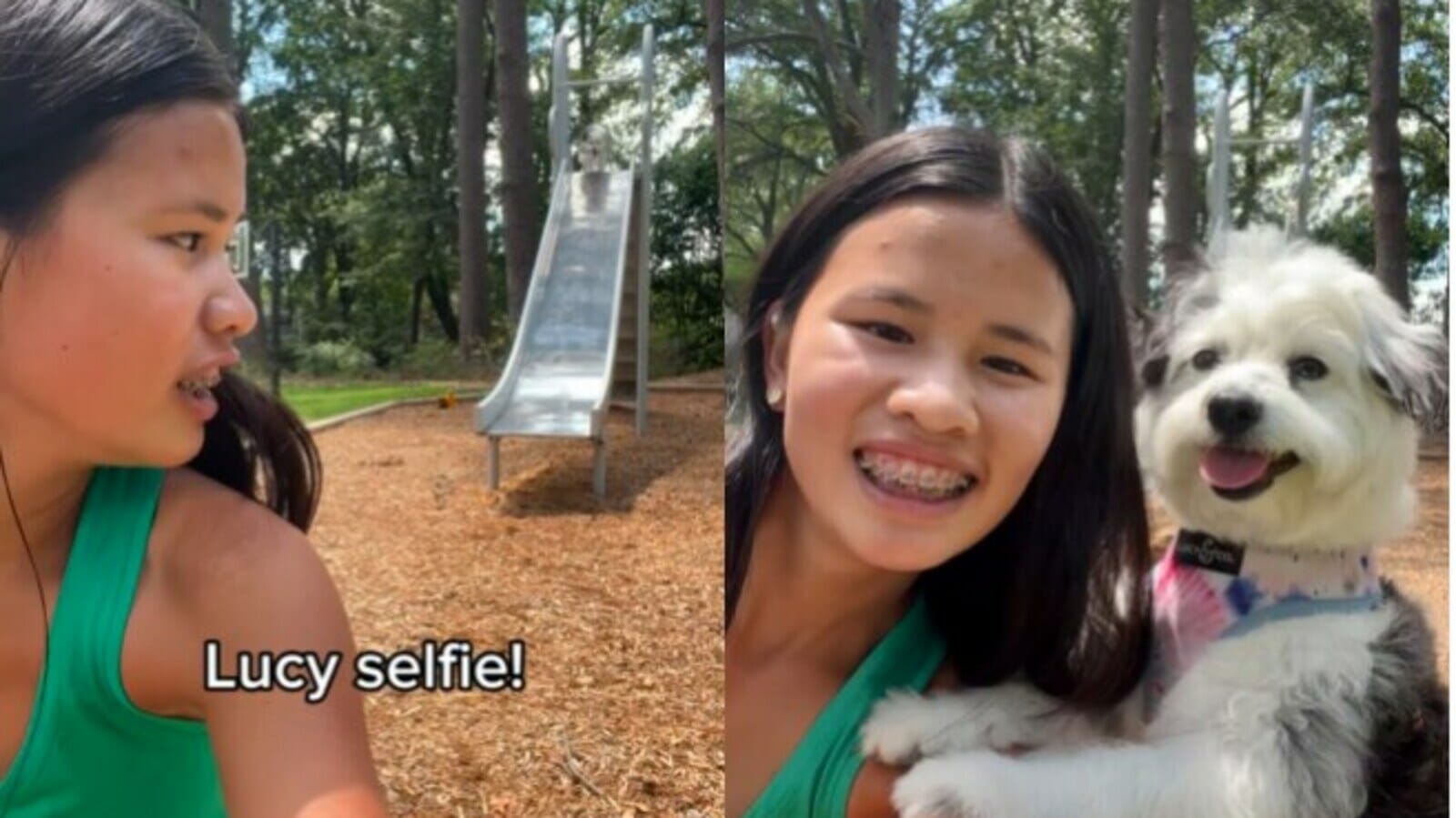 Poodle runs to woman to be in a selfie with her