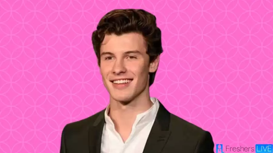 Shawn Mendes Net Worth in 2023 How Rich is He Now?