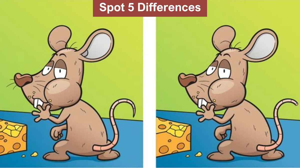 Spot 5 differences between the mouse eating cheese pictures in 14 seconds