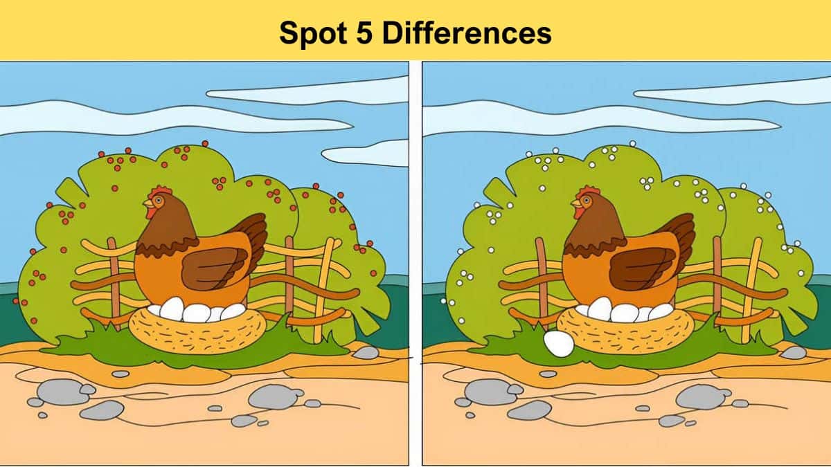 Spot 5 Differences in 12 Seconds