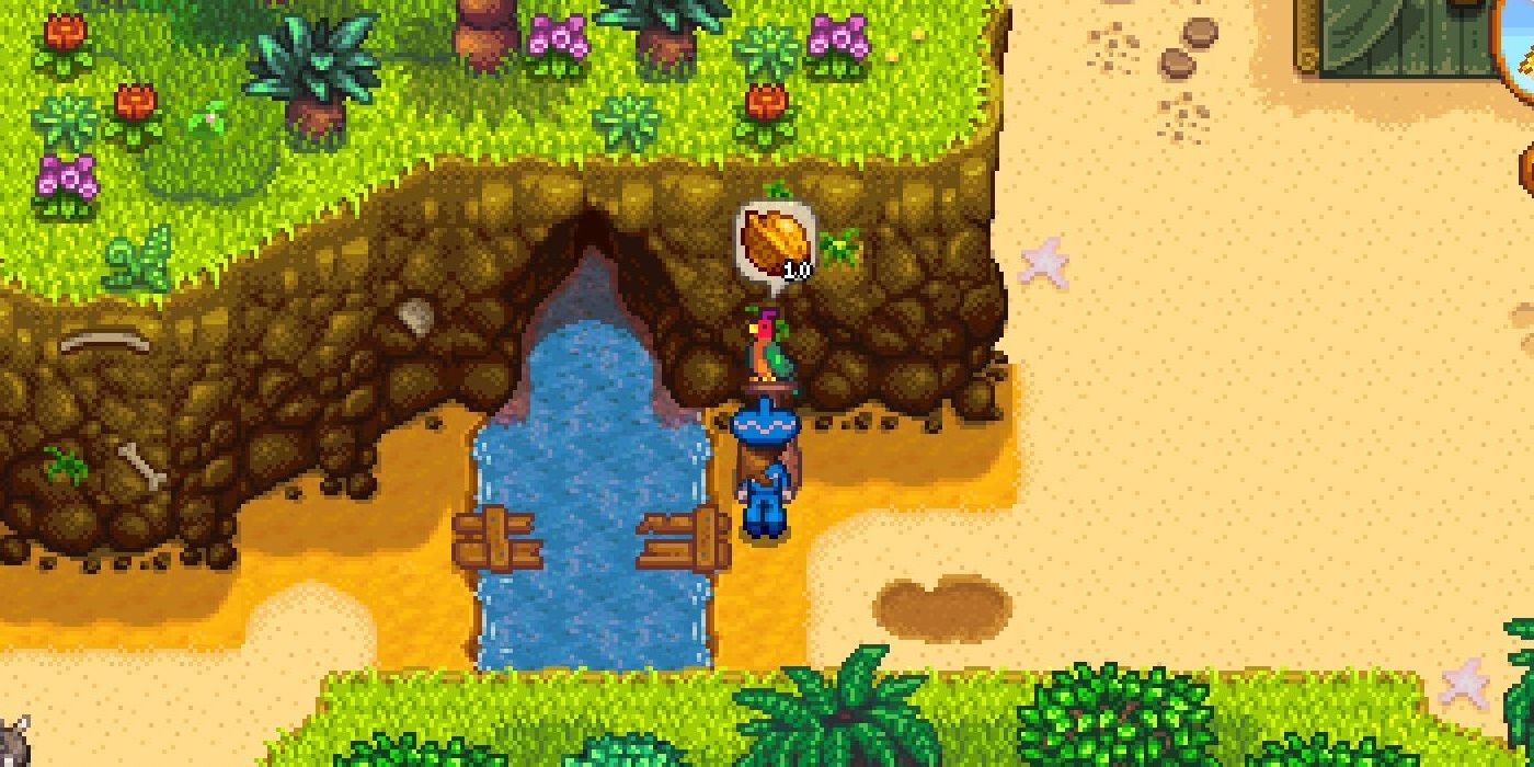 Stardew Valley: Every Golden Walnut Location