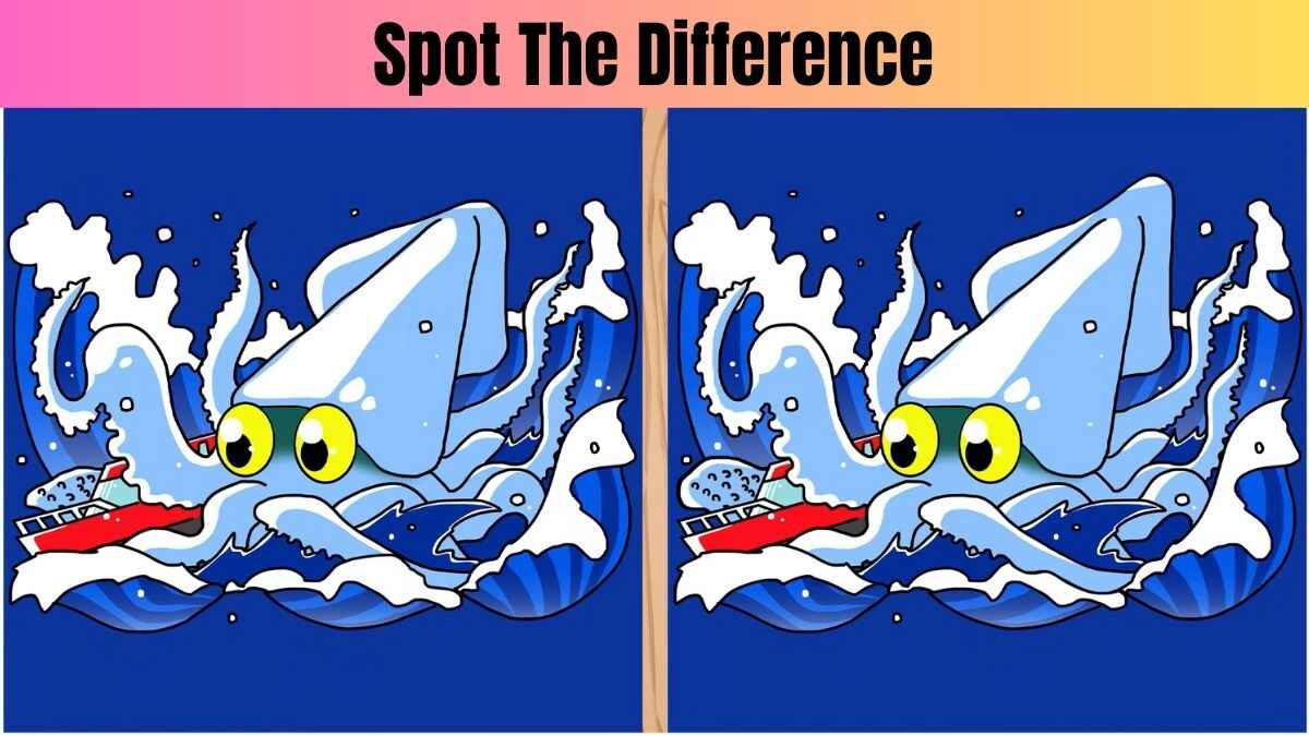 Spot the Difference: Spot 3 Differences In 25  Seconds