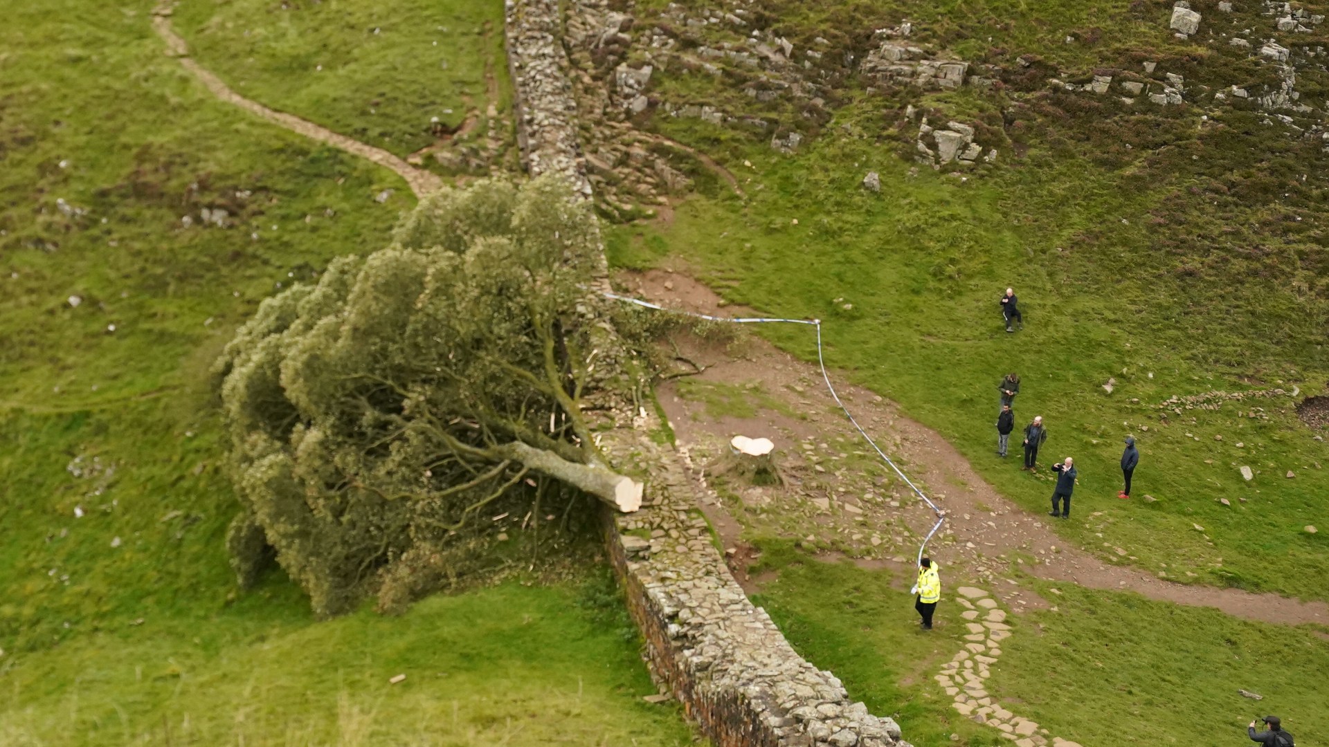 World famous Sycamore Gap tree at Hadrian’s Wall featured in Robin Hood is CHOPPED DOWN - as cops arrest boy, 16