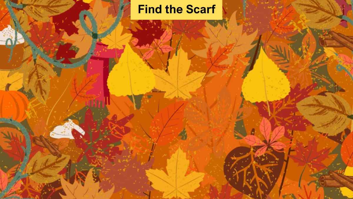 Find Hidden Scarf