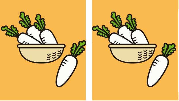 You have a high IQ if you can spot the 3 tricky differences between basket of radishes in just 9 seconds