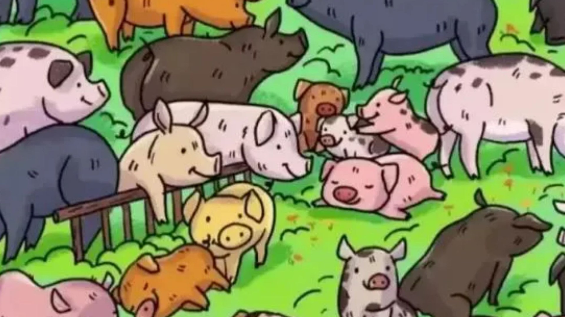 You could have a high IQ if you can spot the hippopotamus heading with the pigs in just 8 seconds