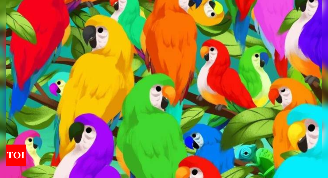 Optical Illusion: Are you sharp-eyed to find the chameleon hiding among parrots? |