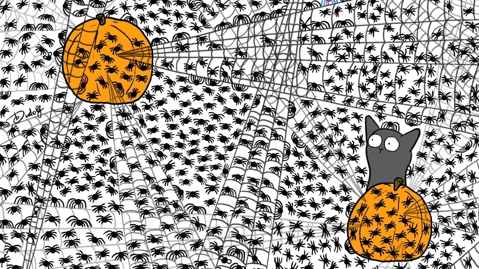 7 flies are hidden among spiders in this Halloween brain teaser. Can you spot them?