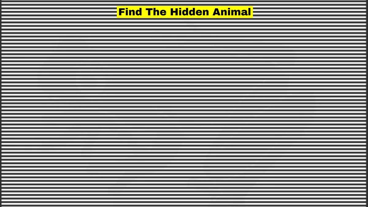 Optical Illusion: Spot The Hidden Animal.