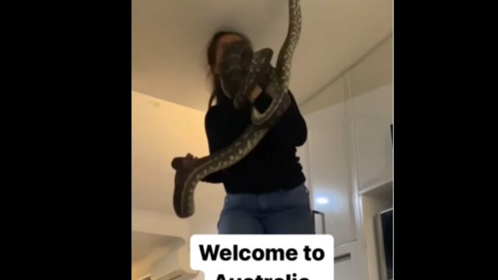 Australian woman grabs 2 massive snakes coming out of a ceiling. Watch