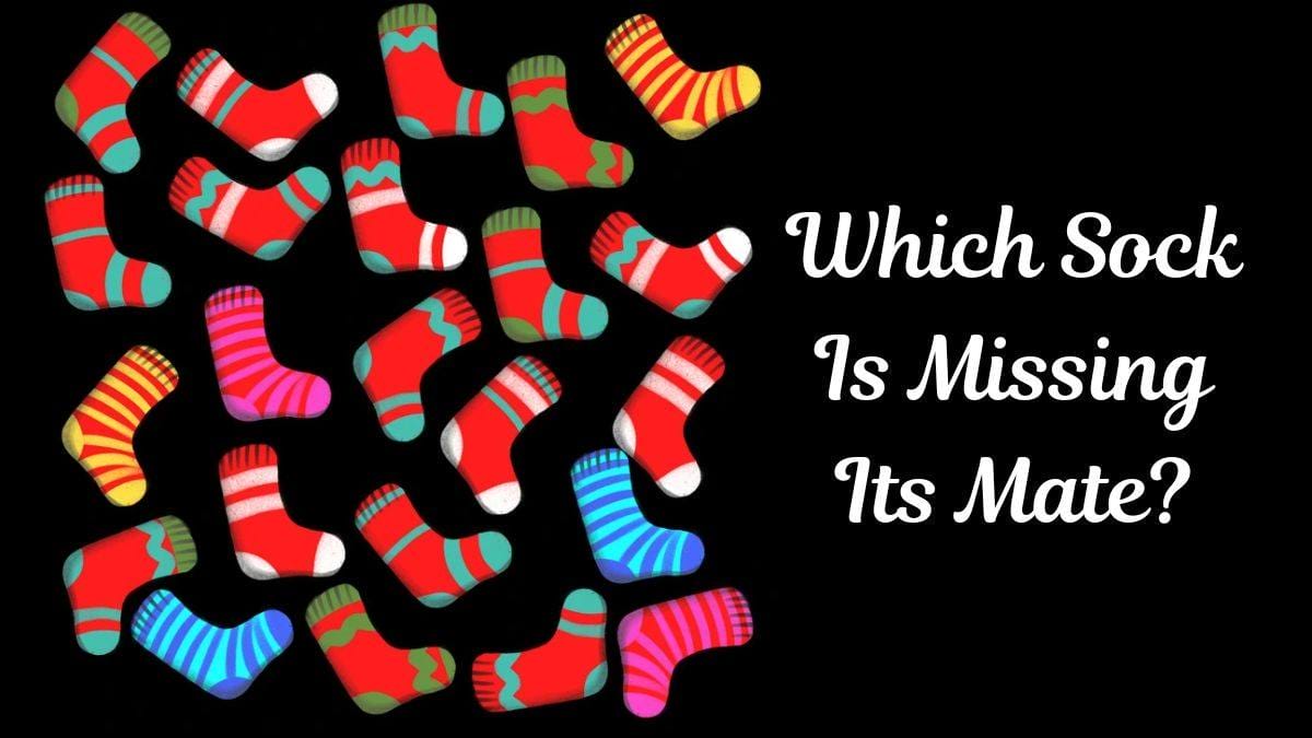 Can You Spot the Sock With No Pair in Picture Within 13 secs?