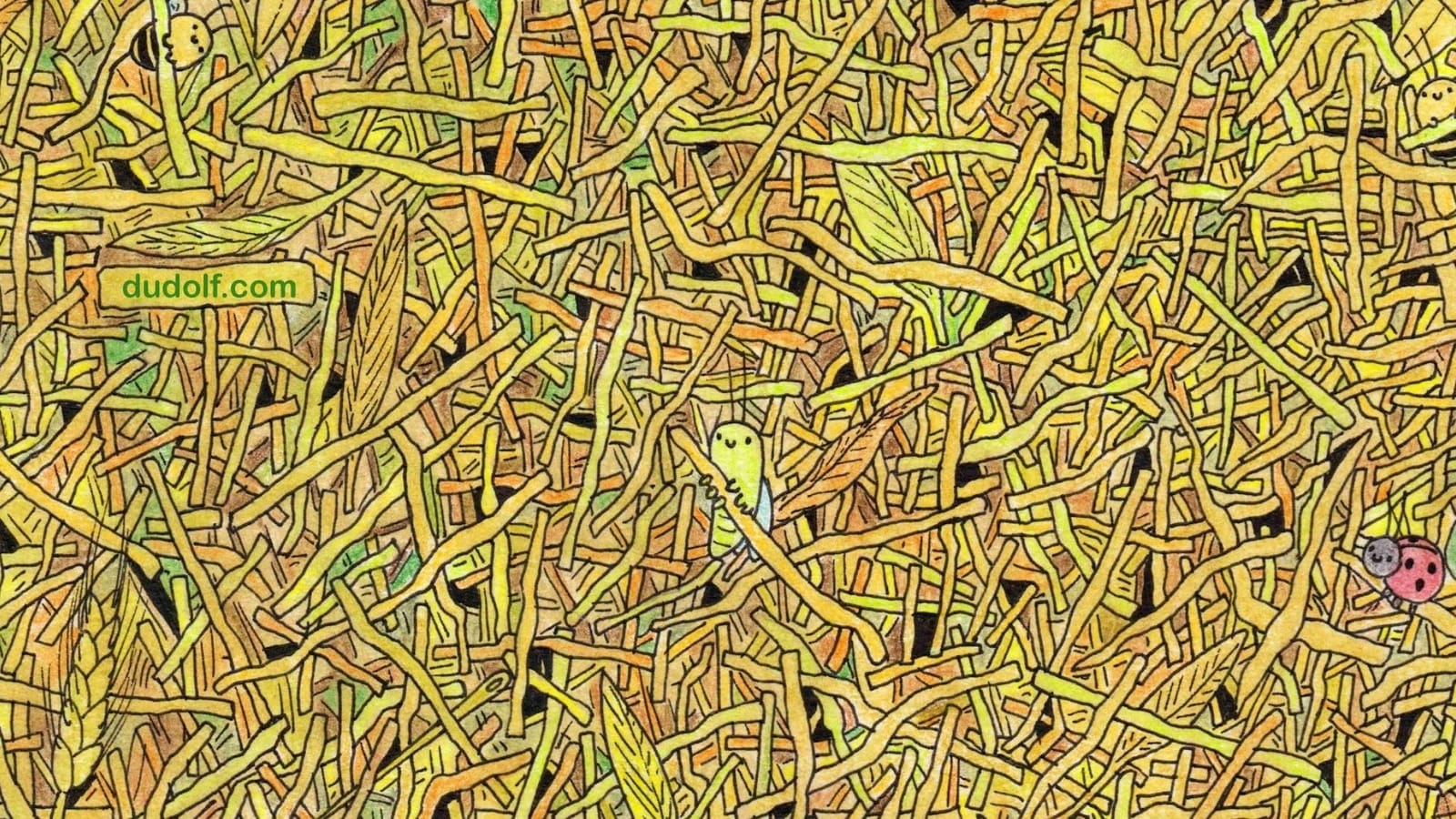 Brain Teaser: Can you find the needle in this haystack in five seconds?