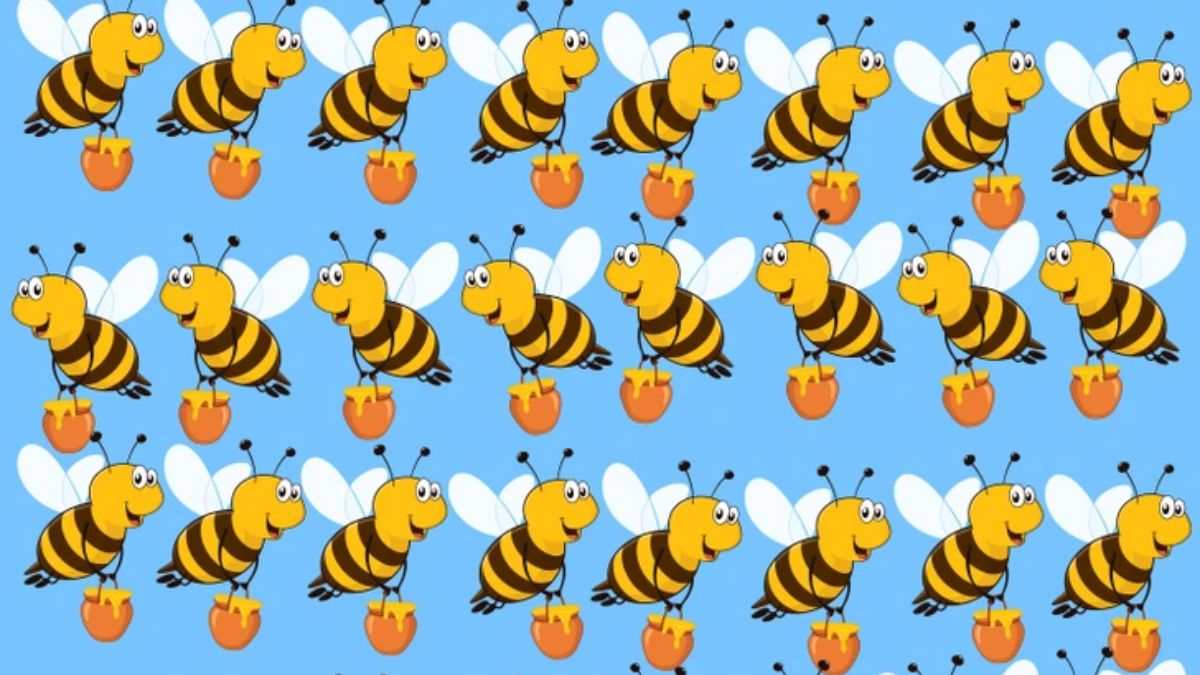 Can you spot the ODD Honey Bee in picture within 9 secs?